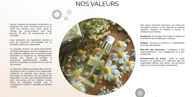 05b635464dfb7ffeb369d12b3d88d4d9