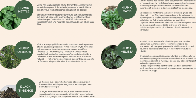 241c1a805948d1f15423e6072f0af845