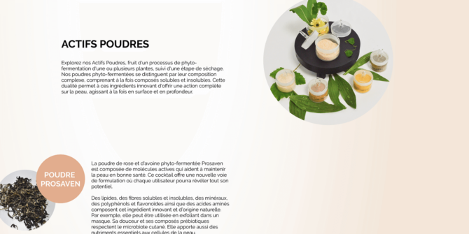 280337aa086523ebcd9c1adad99b13a8