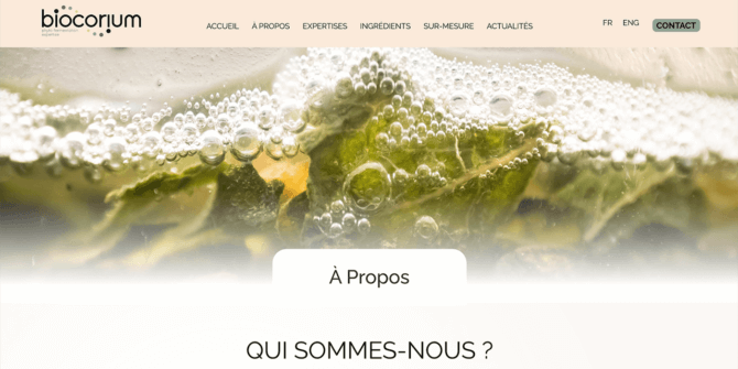 d53256092335ab4377ef85cb7dee4459