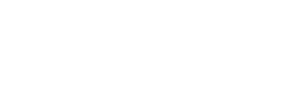 Google local service